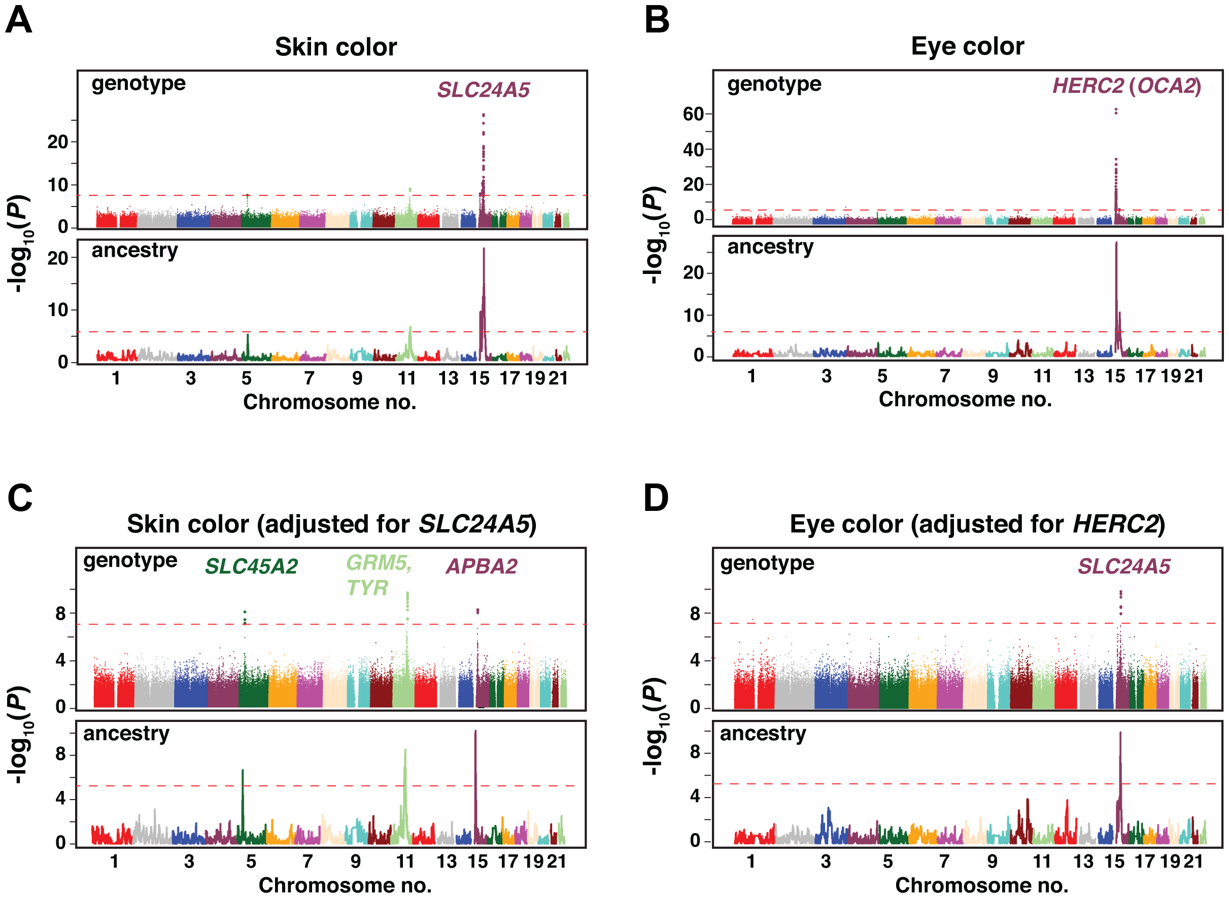 Eye Color Prediction Chart