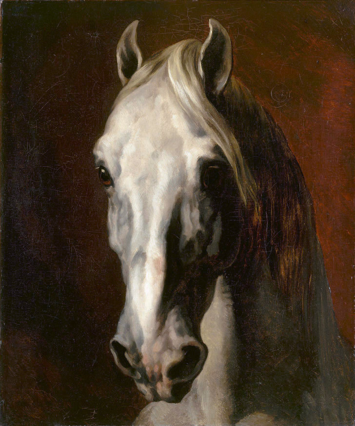 Tête de cheval blanc — Wikipédia