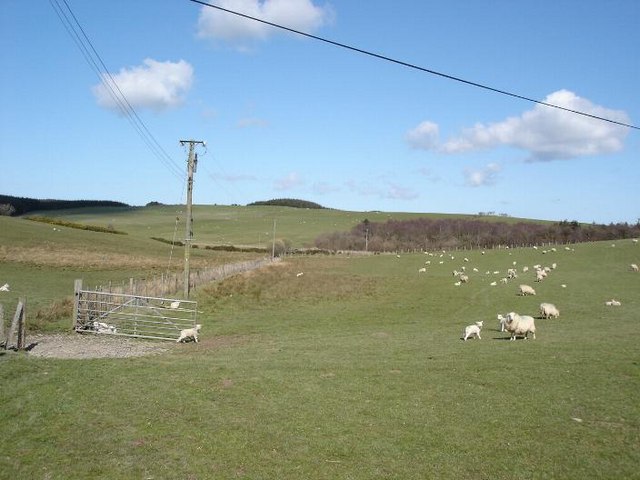 File:Grazing east of Llanrwst - geograph.org.uk - 152753.jpg