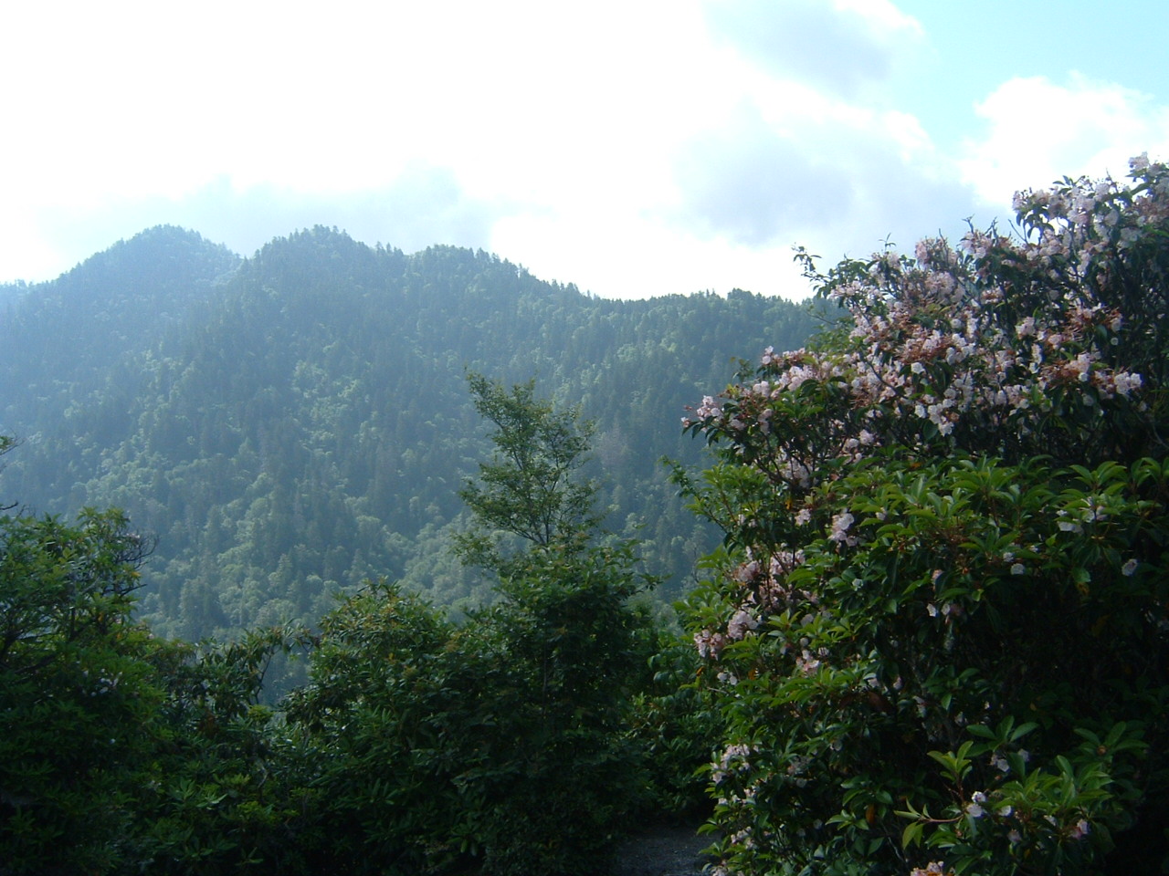 Great Smoky Mountainsin kansallispuisto