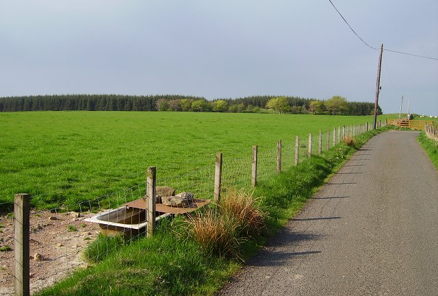 File:Greenwall - geograph.org.uk - 168259.jpg