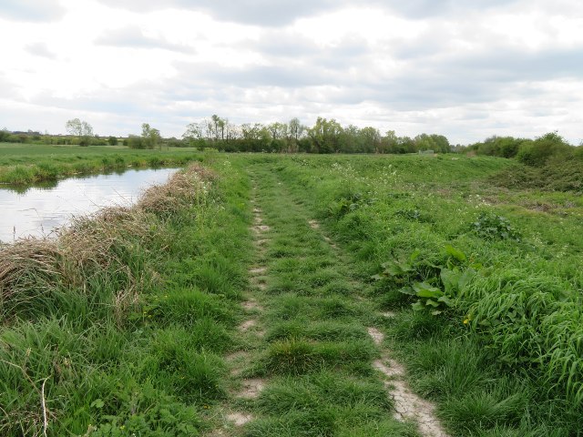 File:Harcamlow Way by Quy Water - geograph.org.uk - 5722833.jpg