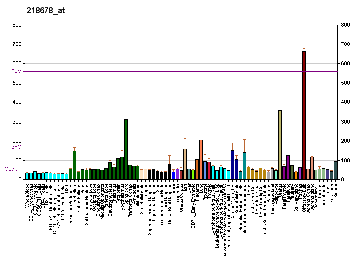 File:PBB GE NES 218678 at fs.png