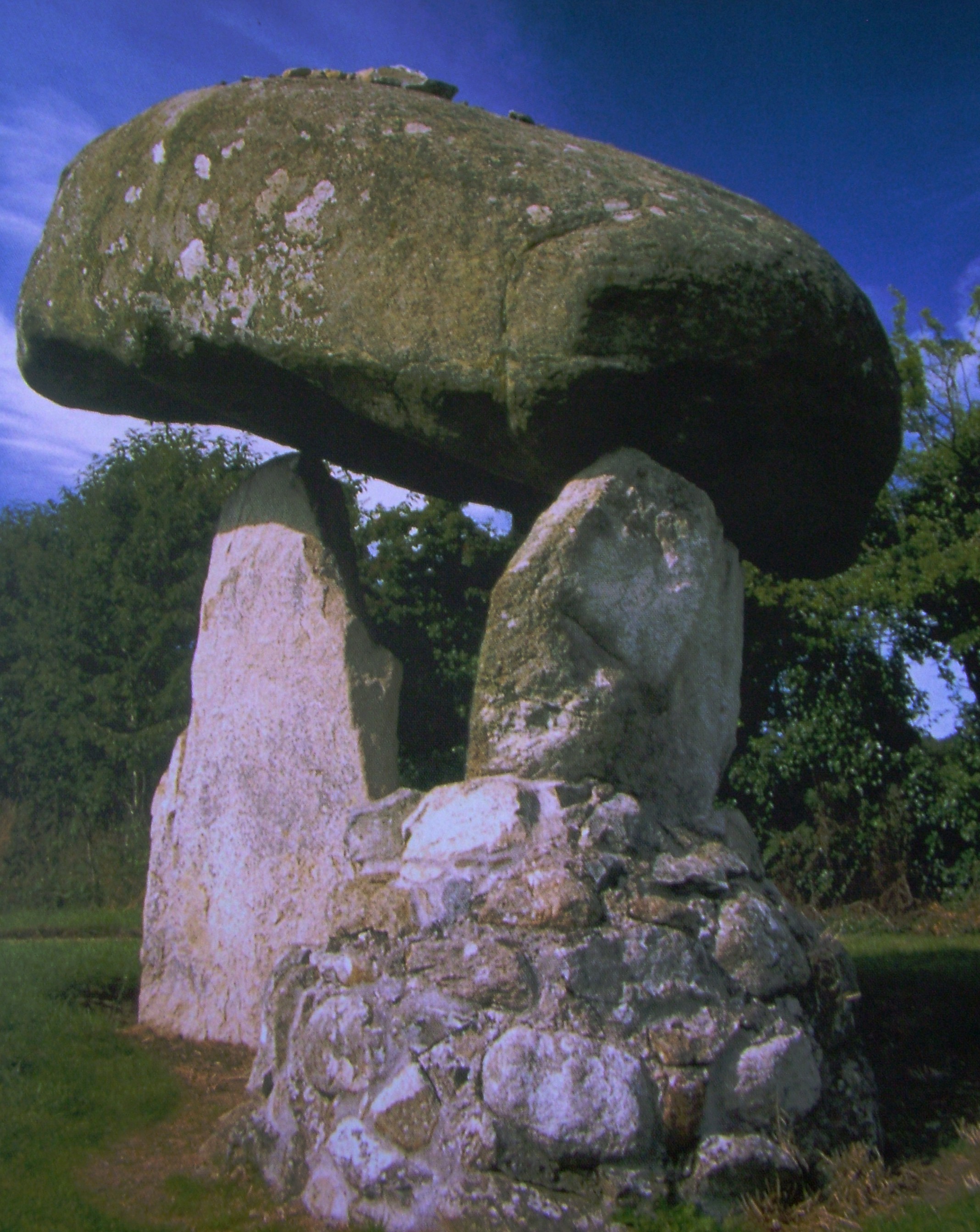 Stone could. Канин камень.