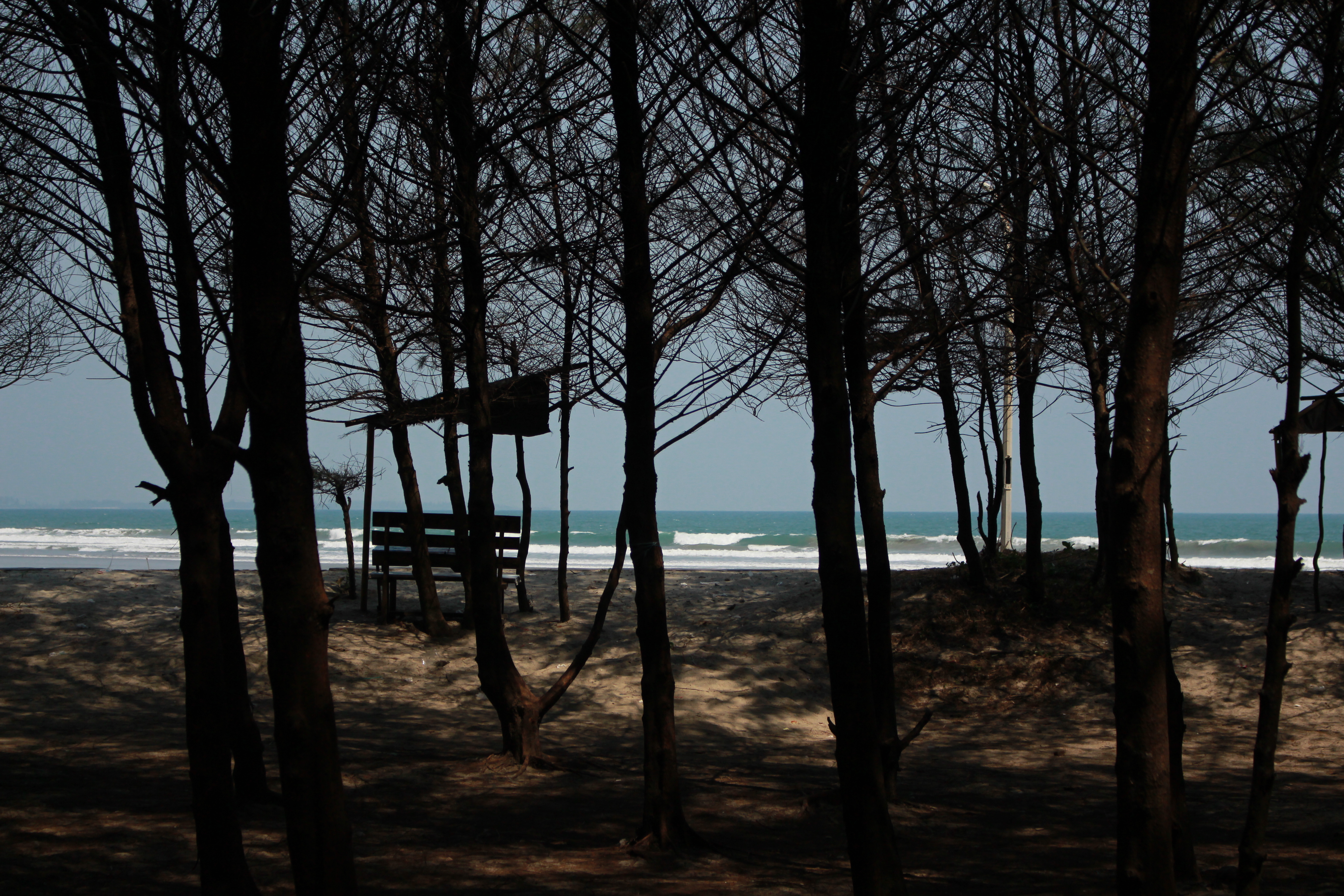 Pantai panjang casuarina