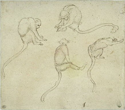 File:Pisanello - Codex Vallardi 2388 r.jpg