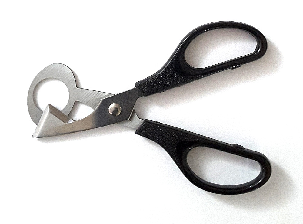 File:Kitchen-Scissors.jpg - Wikipedia