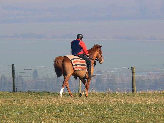 File:Rider on Smeathe's Ridge, Barbury - geograph.org.uk - 637171.jpg