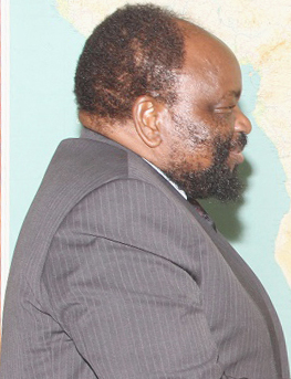 <span class="mw-page-title-main">Simbarashe Mumbengegwi</span> Zimbabwean politician and diplomat