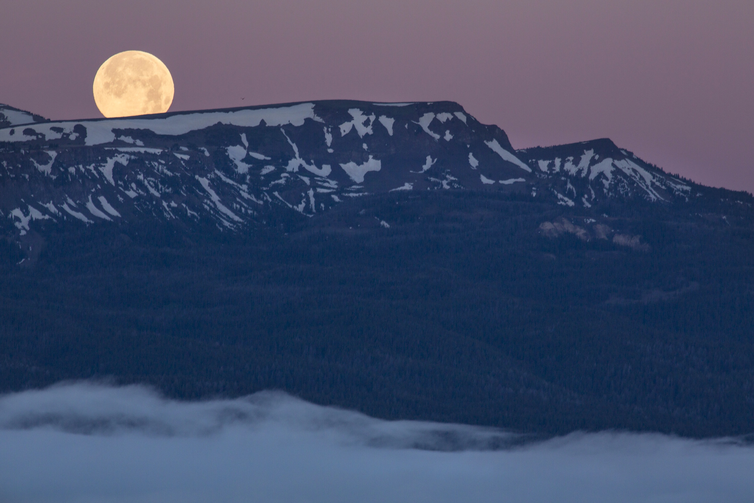 Большая чистая луна. Полнолуние в горах. Большая Луна в горах. Восходящая Луна в горах. Луна над Килиманджаро.