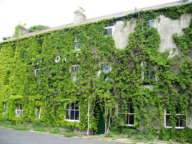 File:The Dale Hotel in summer plumage - geograph.org.uk - 452237.jpg