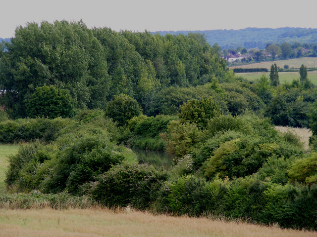 The Wendover Arm Canal - geograph.org.uk - 1409504