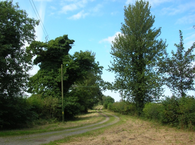 File:Track to Aylmerton - geograph.org.uk - 560385.jpg