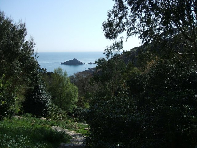 File:Treescape, Coleton Fishacre gardens - geograph.org.uk - 1181719.jpg