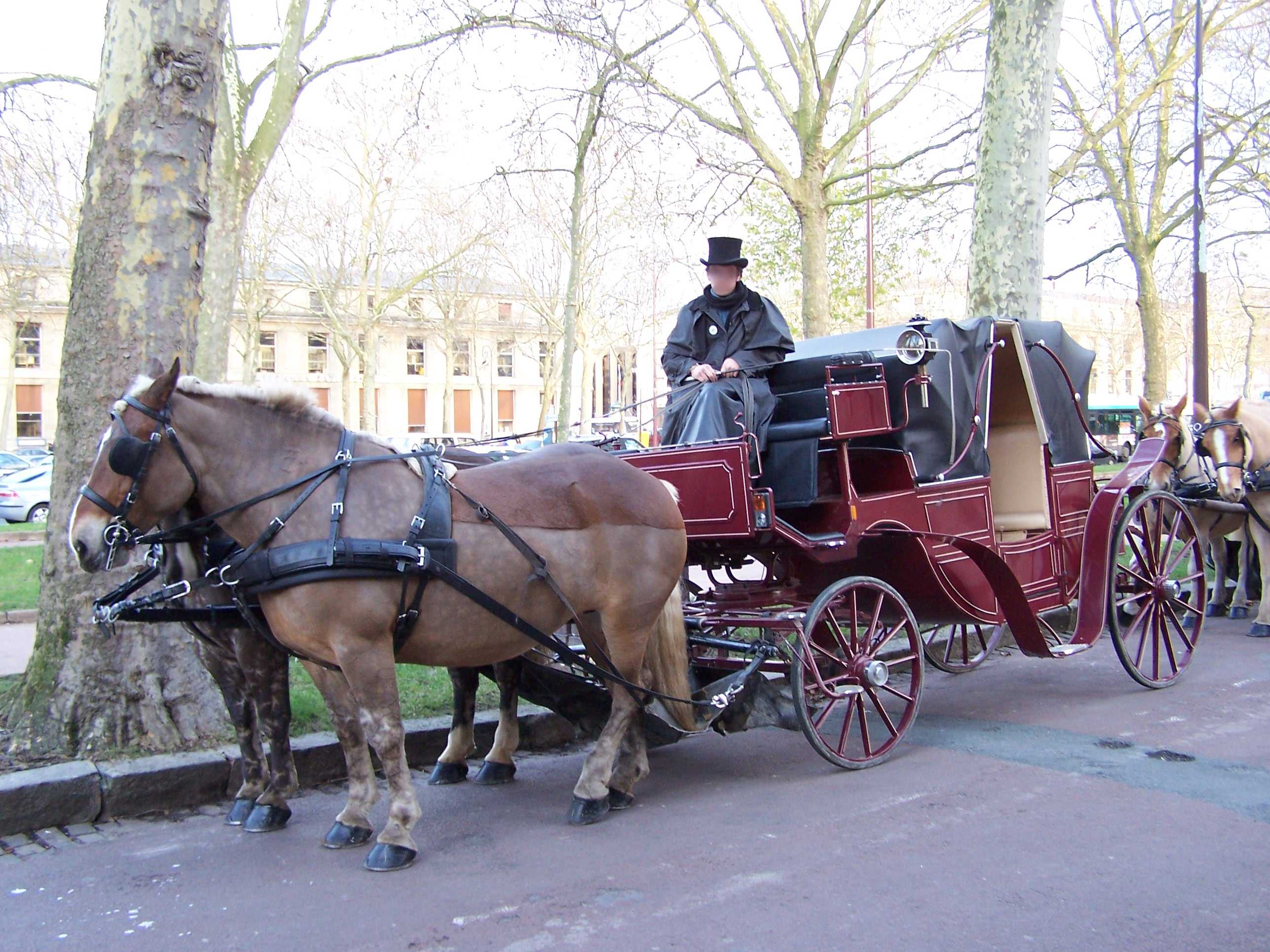 Landau (hippomobile) Versailles_Horse-drawn_landau_2006-11-13
