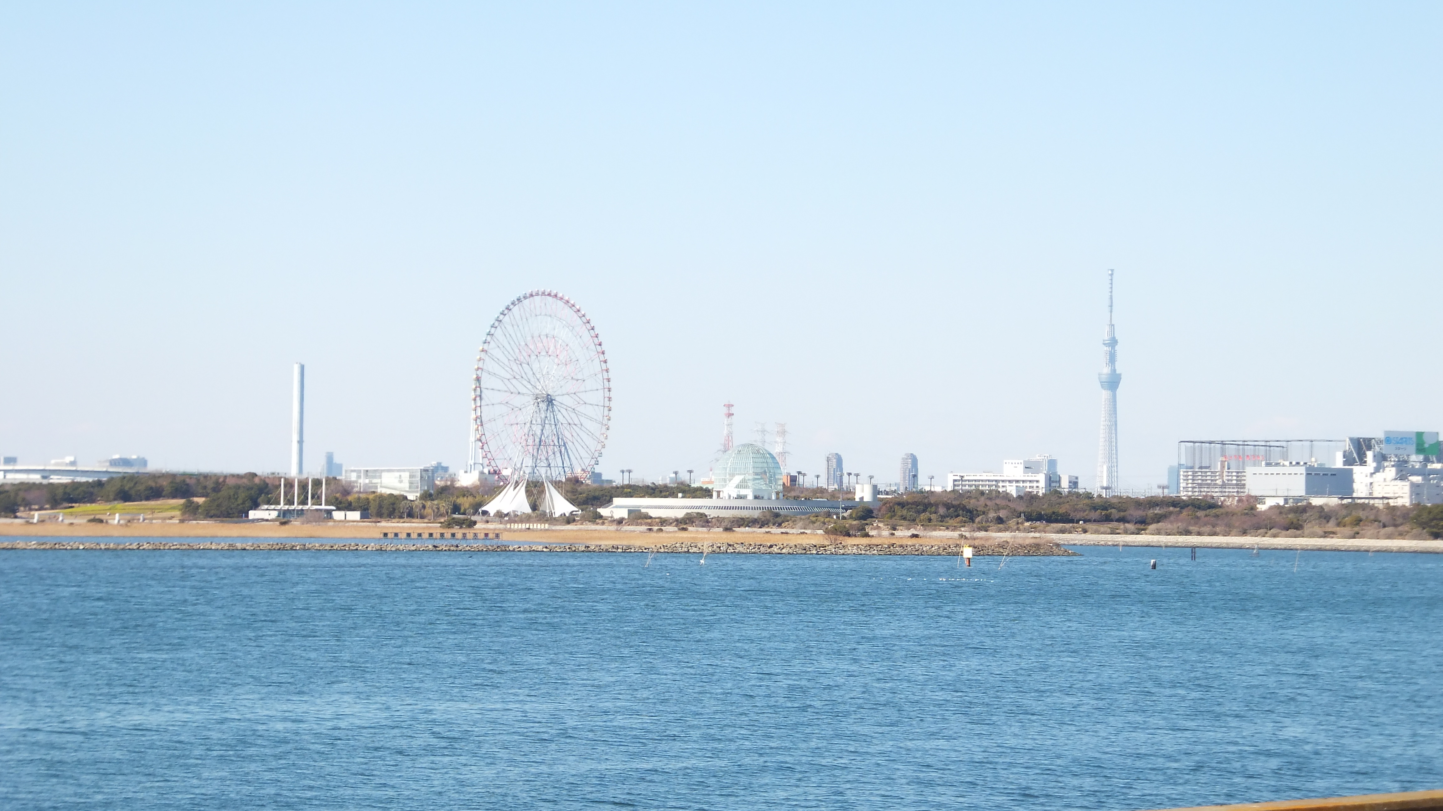 View of Kasai Rinkai Park with Tokyo SkyTree.jpg