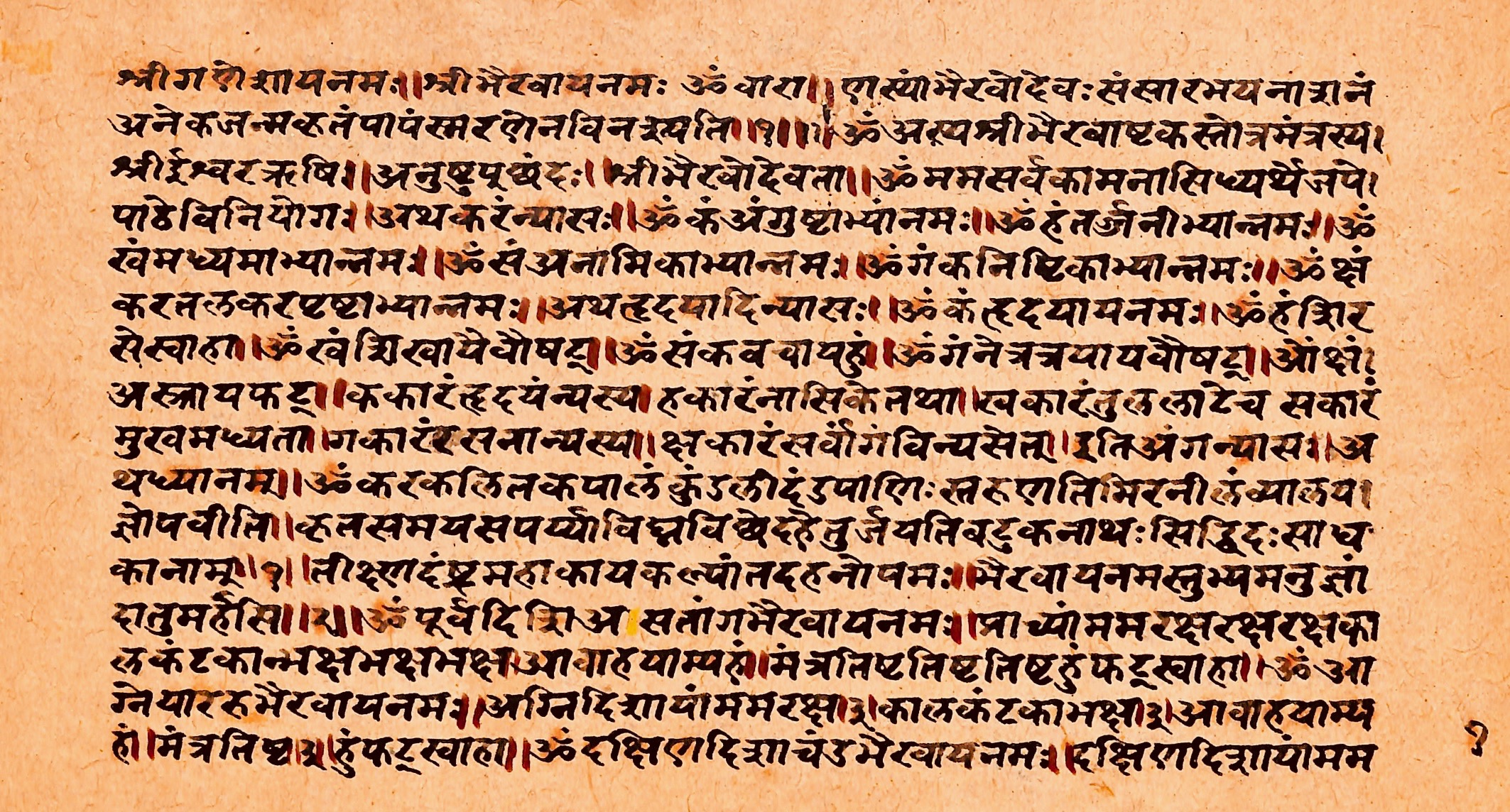 A single page of Garuda purana. some text in ancient Sanskrit language