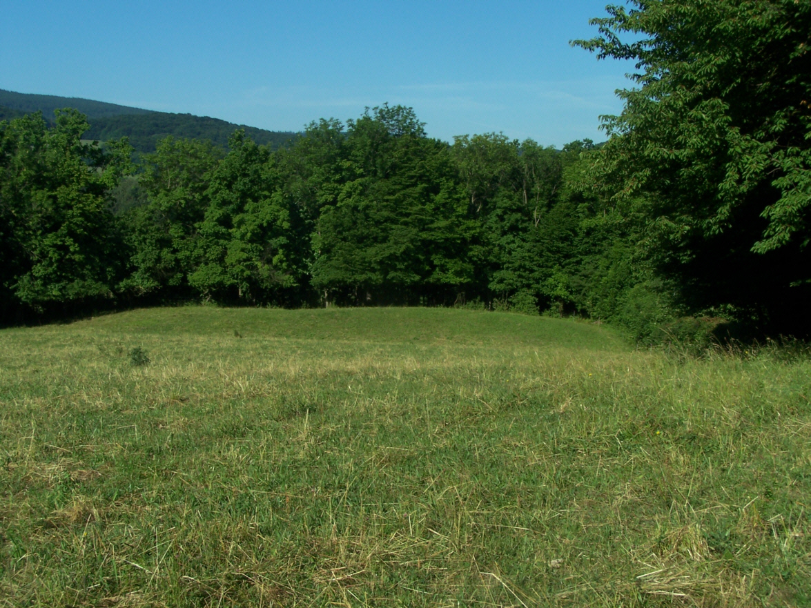 Blick über den Graben der Burgstelle Wittgenstein (von Osten)