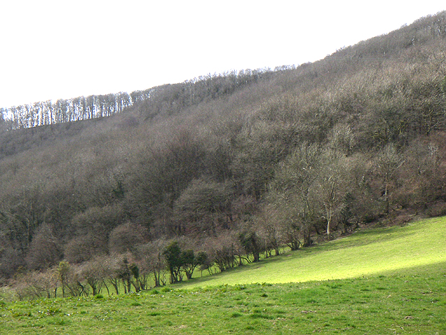 File:Wooded Hill - geograph.org.uk - 149308.jpg