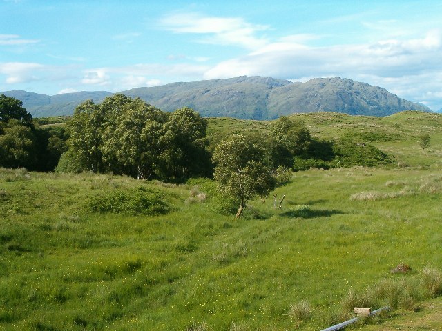 File:Wooded hillside - geograph.org.uk - 194570.jpg