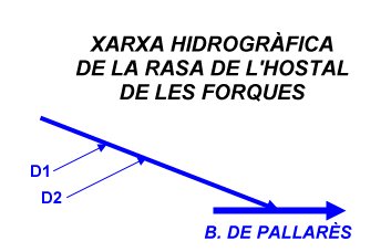 Xarxa hidrogràfica de la Rasa de l'Hostal de les Forques