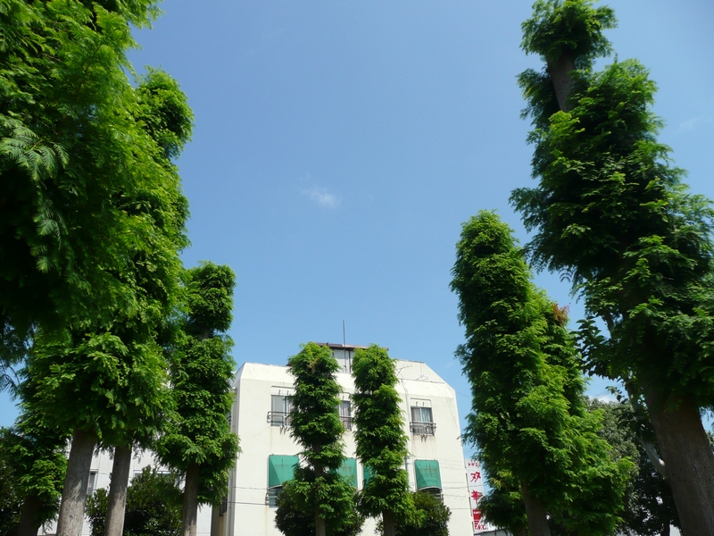 File:赤穂駅前町第一公園 - panoramio.jpg