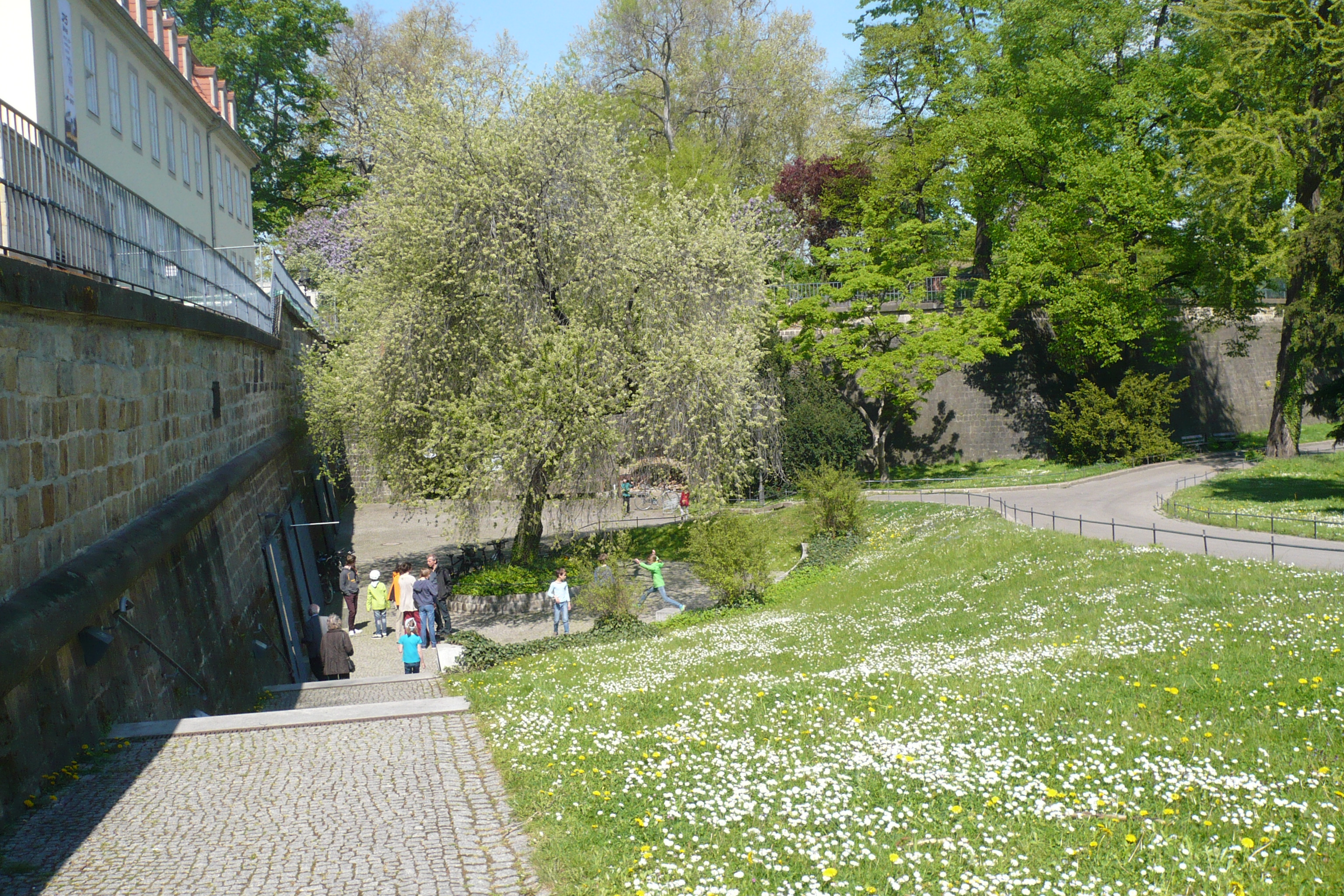 File 2015 05 01 Dresden Bruhlscher Garten Barenzwinger