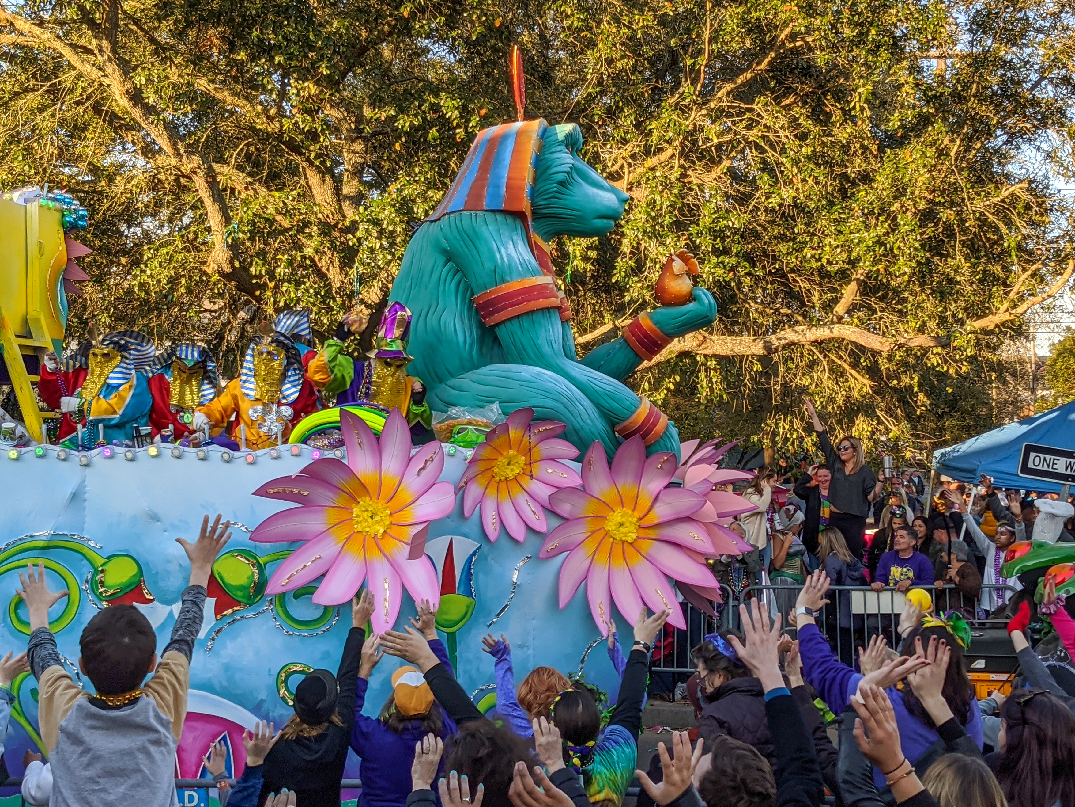 endymion parade