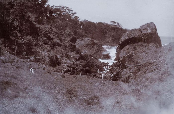 File:COLLECTIE TROPENMUSEUM Natuurmonument Oedjoengkoelon bij Java's Eerste Punt TMnr 60016602.jpg