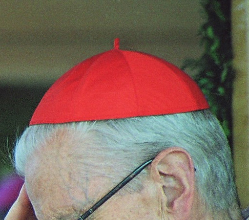 File:Cardinal zucchetto 2003 modified 2008-15-08.jpg