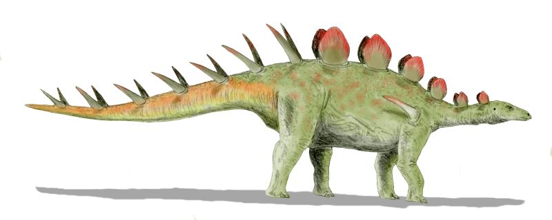 File:Chialingosaurus BW.jpg