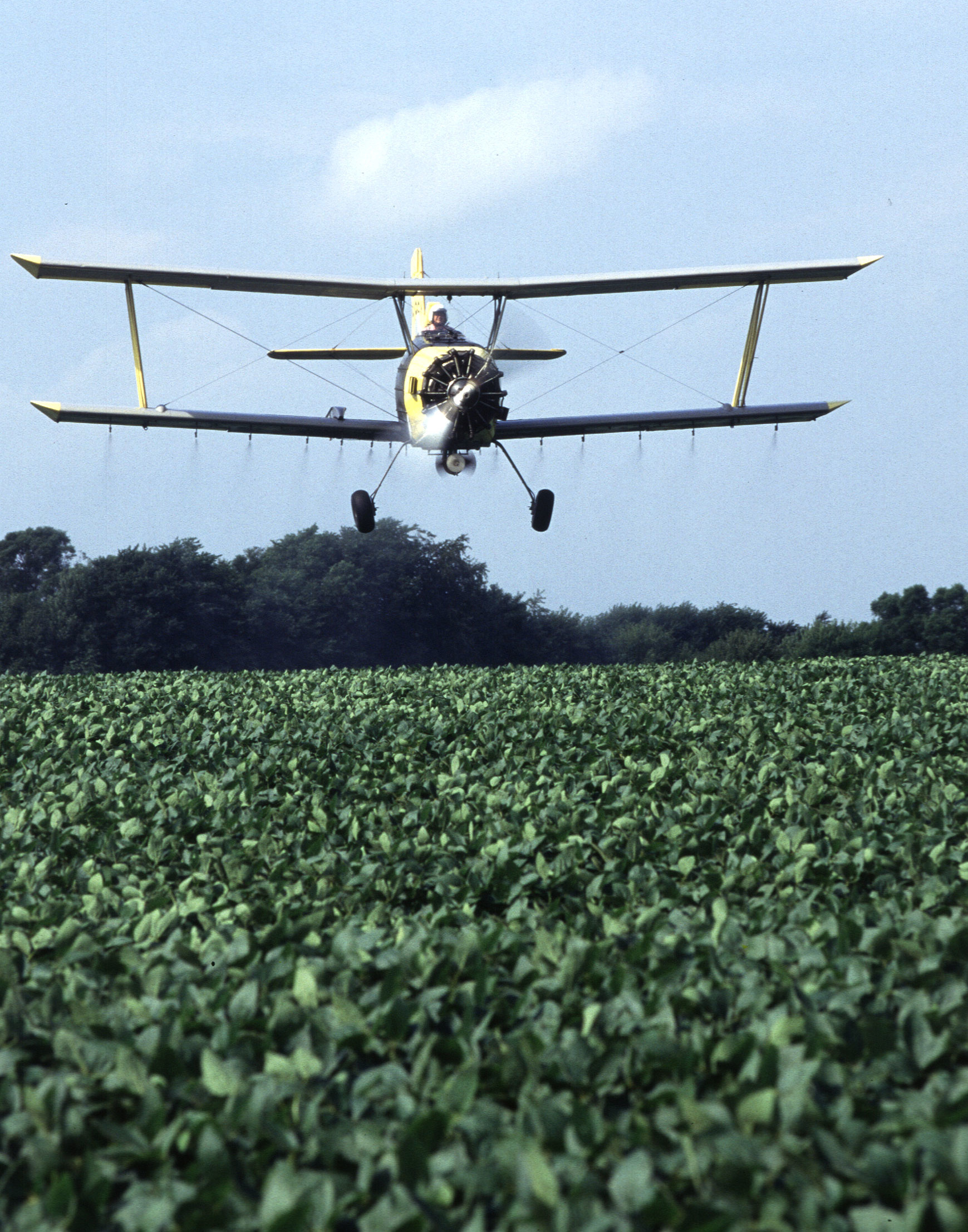 https://upload.wikimedia.org/wikipedia/commons/f/fd/Crop_Duster.jpg