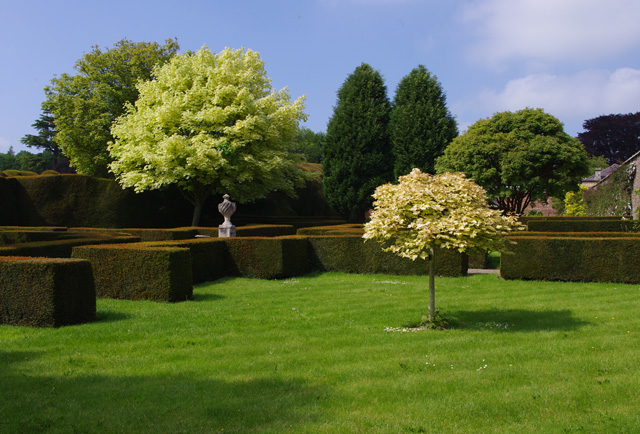 East garden, Raby Castle - geograph.org.uk - 3515324