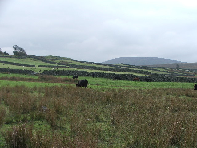 File:Farmland between Birkerthwaite and High Ground - geograph.org.uk - 68466.jpg