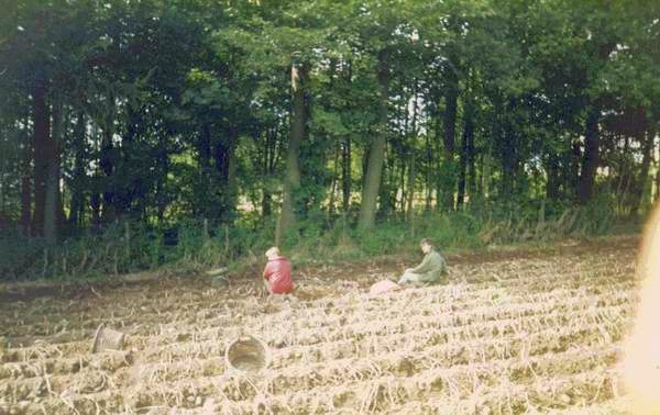 File:Forfar Potato Pickers (2).jpg