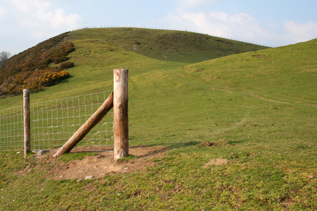 File:Gallt-y-wrach hillside - geograph.org.uk - 386809.jpg