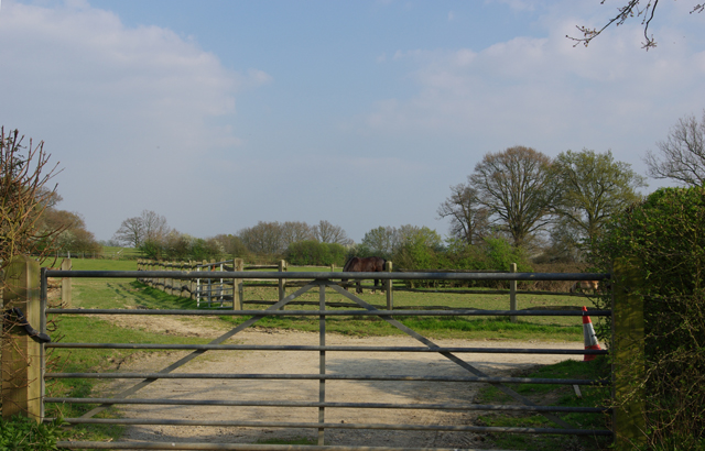 File:Gates and fences - geograph.org.uk - 395443.jpg