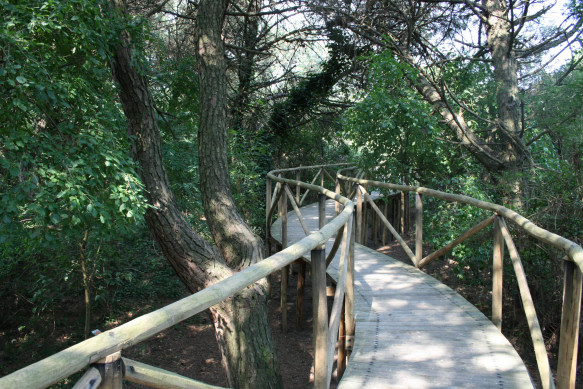 "Percorso attraverso il Giardino Botanico Litoraneo"