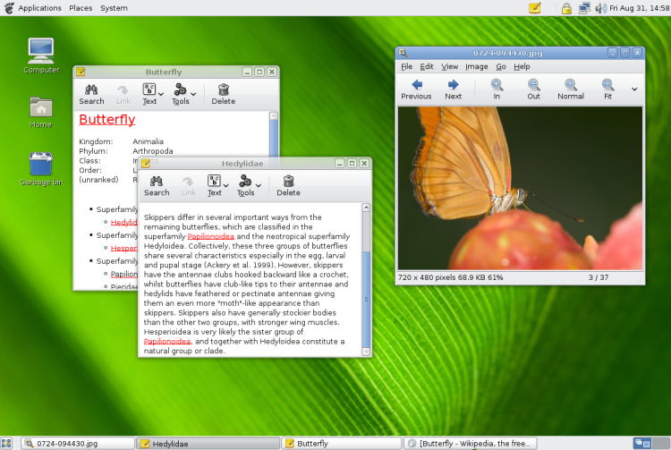 File:Gnome-2.20-screenshot.png