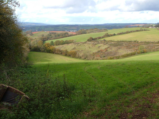 File:Haccombe valley above Deer Park Farm - geograph.org.uk - 278867.jpg