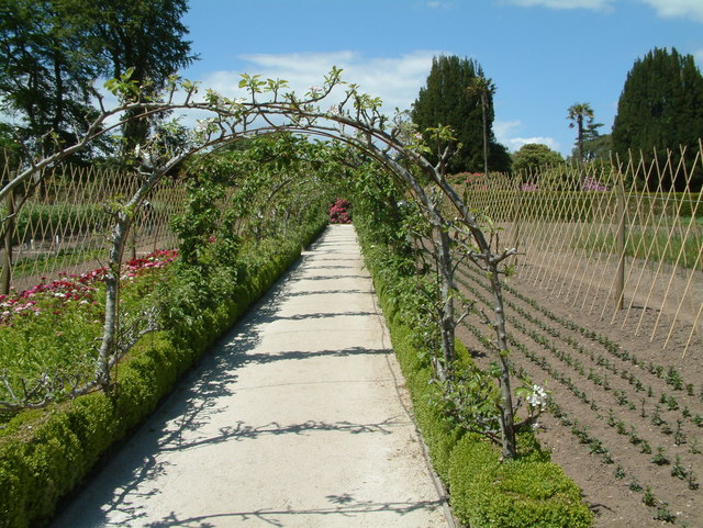 File:Heligan apple arches.jpg