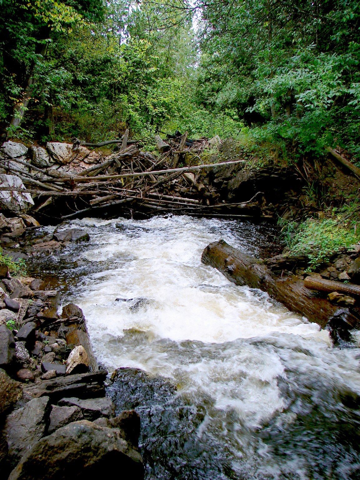 Photo of Kazabazua River