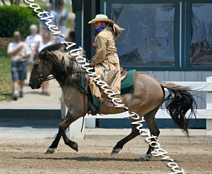 File:Kiger Mustang (2692908248).jpg