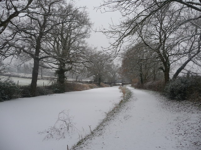 File:Mid Devon , The Grand Western Canal - geograph.org.uk - 1650394.jpg