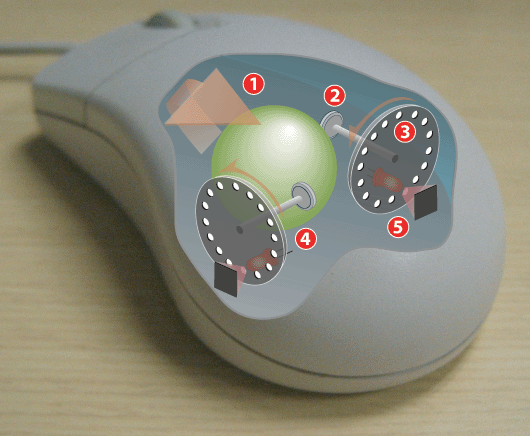 Archivo:Mouse-mechanism-cutaway.png