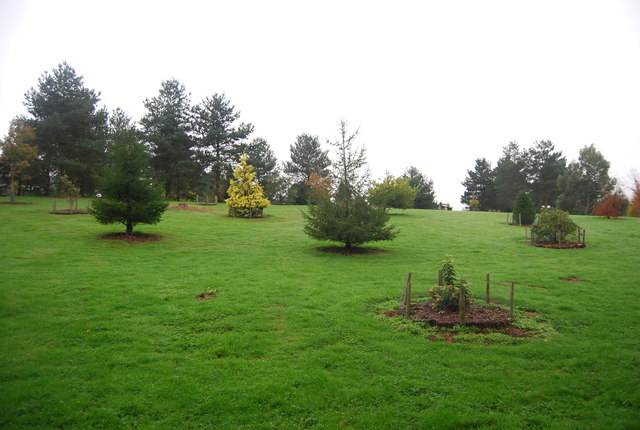 File:National Pinetum - geograph.org.uk - 4302159.jpg