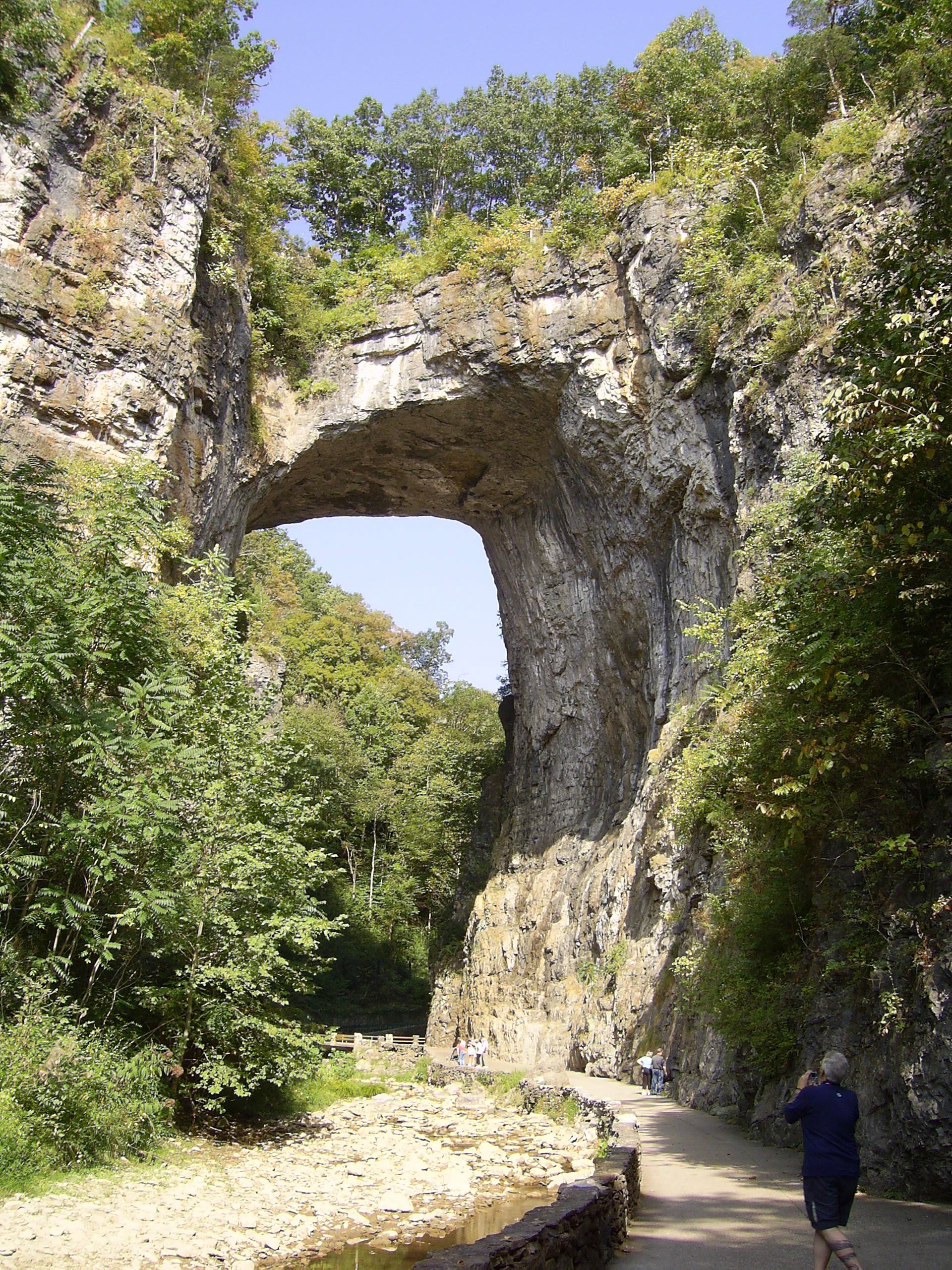 Bridge natural nissan virginia #1