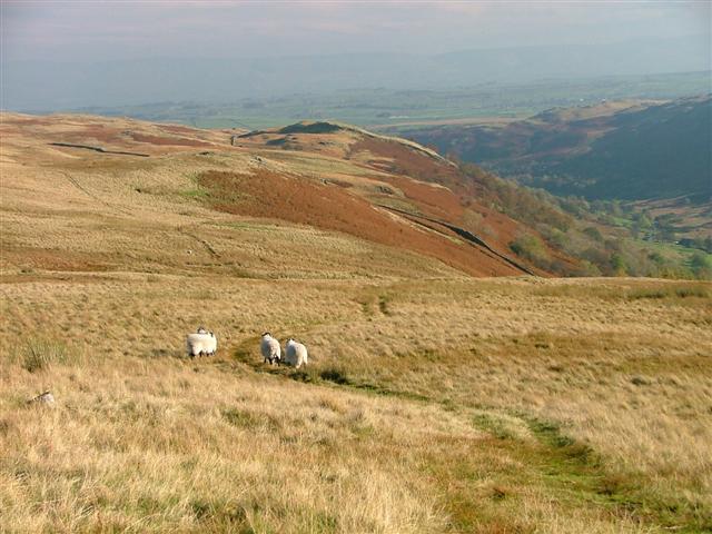 Corpse road in the Lake District