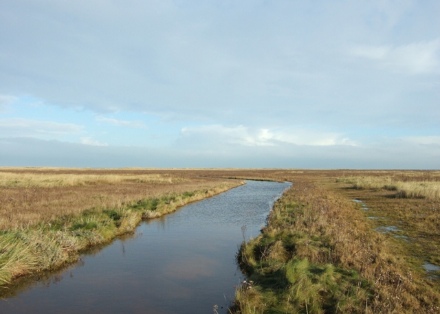 Out on the Saltmarsh, Saltfleetby - geograph.org.uk - 1077413