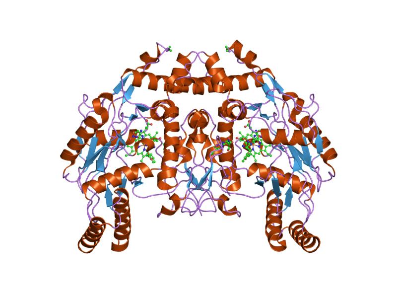 File:PDB 1rs9 EBI.jpg